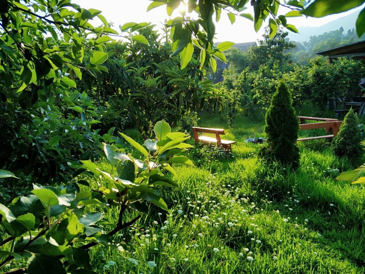 Гостевой дом Гостевые домики Псырцха Новый Афон-15