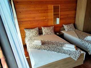 Гостевой дом Гостевые домики Псырцха Новый Афон Трехместный номер с душем-33